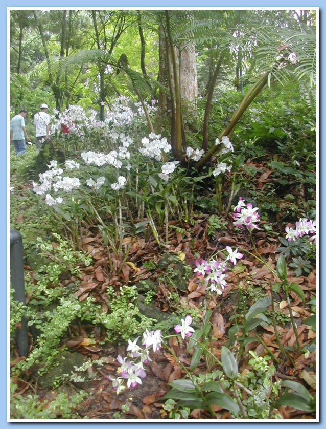 [Click to enlarge image]